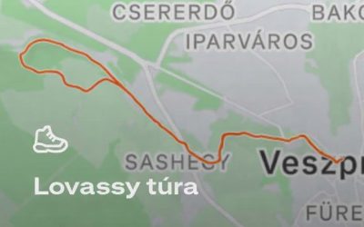 Lovassys túra képei – 2026.03.28.